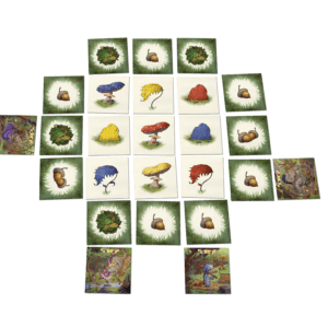 Le Bois des Coua2sous